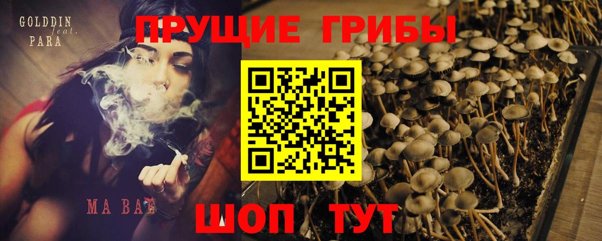 Галлюциногенные грибы Psilocybe  Вход с VPN  Галлюциногенные грибы MAGIC MUSHROOMS  Менделеевск 